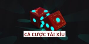 Cá Cược Tài Xỉu - Bật Mí 4 Bí Kíp Thắng Đậm Từ Bj88