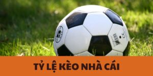 Tỷ Lệ Kèo Nhà Cái - Cách Hiểu Và Áp Dụng Hiệu Quả
